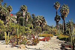 Jardines Mossèn Costa i Llobera