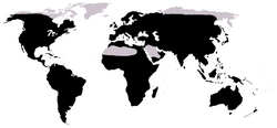 Mapa que ilustra la distribución global de los anuros.