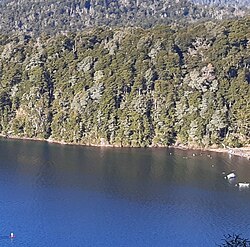 Lago Espejo en la Ruta de los siete lagos en Neuquén