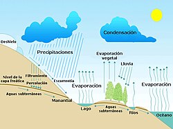 Diagrama del ciclo del agua