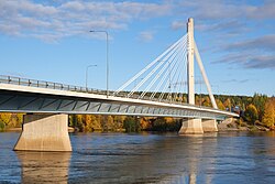 Puente Jätkänkynttilä