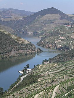 Viñedos aterrazados en las laderas del valle del Duero.