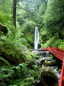 Termas Geométricas en Panguipulli