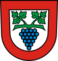 Representación gráfica de la zona y accesos a Büsingen