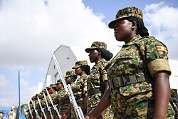 Personal militar y de seguridad en labores de vigilancia operacional