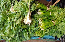 Hoja verde de acelga.