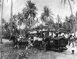 Tropas neozelandesas en Samoa, c. 1914–15