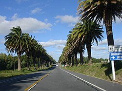 Entorno rural y señalización en el departamento de Colonia