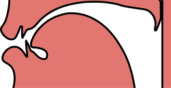 Representación de la fricativa alveolo-palatal