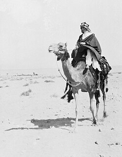 Lawrence en Aqaba