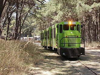 Tren turístico en el Parque Miguel Lillo