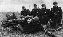 Tropas danesas en Bredevad durante la invasión nazi