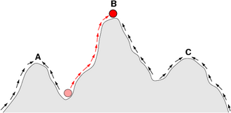 Representación gráfica de un paisaje adaptativo