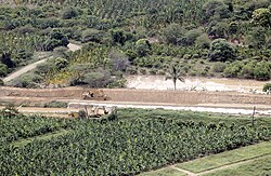 Actividades económicas en Tumbes