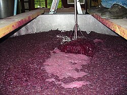 Esquema de la fermentación del vino