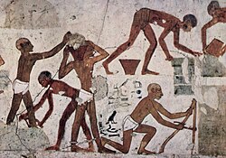 Trabajadores del Antiguo Egipto representados en la tumba de Rejmira
