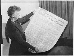 Declaración Universal de Derechos Humanos
