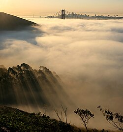 Niebla típica sobre San Francisco