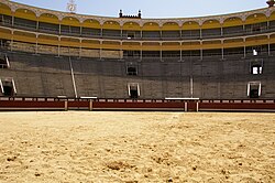 Albero de la plaza de Las Ventas