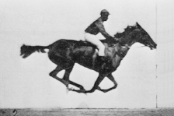 El caballo en movimiento fotografiado por Eadweard Muybridge
