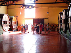 Instalaciones de una bodega vitivinícola en Mendoza