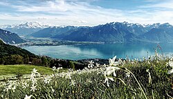 Paisaje histórico y urbano de Montreux