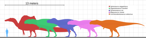 Comparación de tamaño de terópodos gigantes