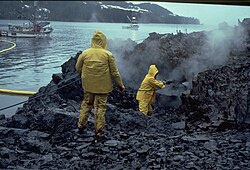 Limpieza de las orillas de Prince William Sound.