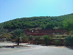Parque Cerro Venezuela