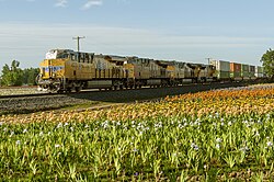 Tren de carga de Union Pacific