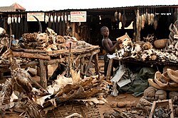 Mercado vodún en Lomé, Togo