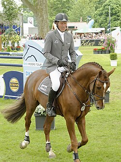 Caballo de monta