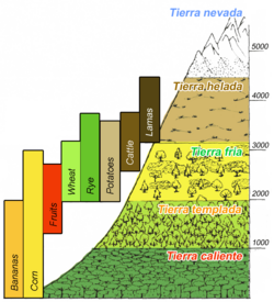 Esquema histórico de los pisos térmicos de los Andes basado en las teorías de Alexander von Humboldt.