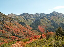 Cordillera Wasatch