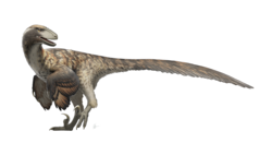 Reconstrucción del dromeosáurido Deinonychus