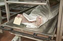 Cadáver en un refrigerador de medicina forense
