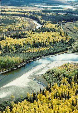 Paisaje otoñal en la región de Yukon Flats