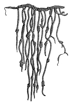 Quipu incaico formado por cuerdas anudadas