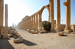 Decumanus maximus de la antigua urbe romana de Palmira, Siria.