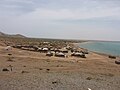 Caserío indígena en el Cabo de la Vela