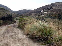 Camino hacia la laguna