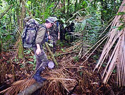 Soldados de la Legión Extranjera patrullando la selva