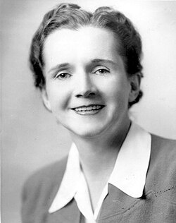 Retrato de Rachel Carson, escritora de Primavera silenciosa