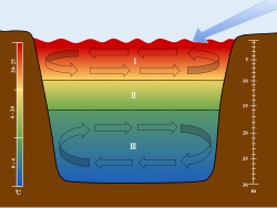 Esquema de estratificación térmica en un lago.