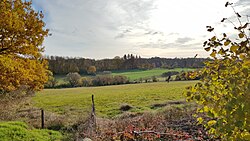 Paisaje fluvial de Lontzenerbachtal