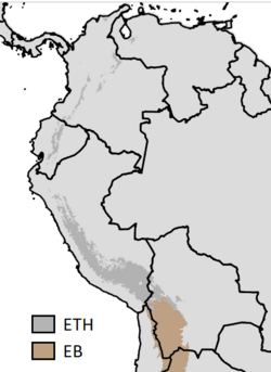 Esquema del clima altoandino intertropical.