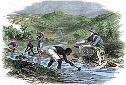 Esclavos afroamericanos trabajando para sus amos en los campos de oro.