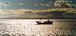 Regreso de pescadores tradicionales al puerto en Gerona