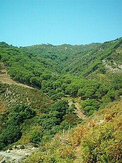 Paisaje general de los montes Peloritanos