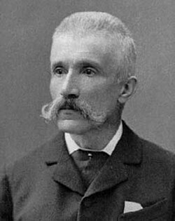 Francesco Brioschi (1824–1897)